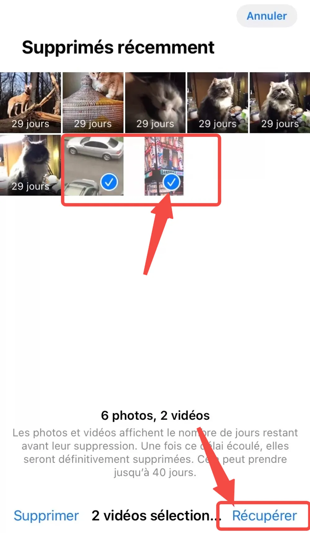 recuperer-une-video-supprimee-recemment.webp