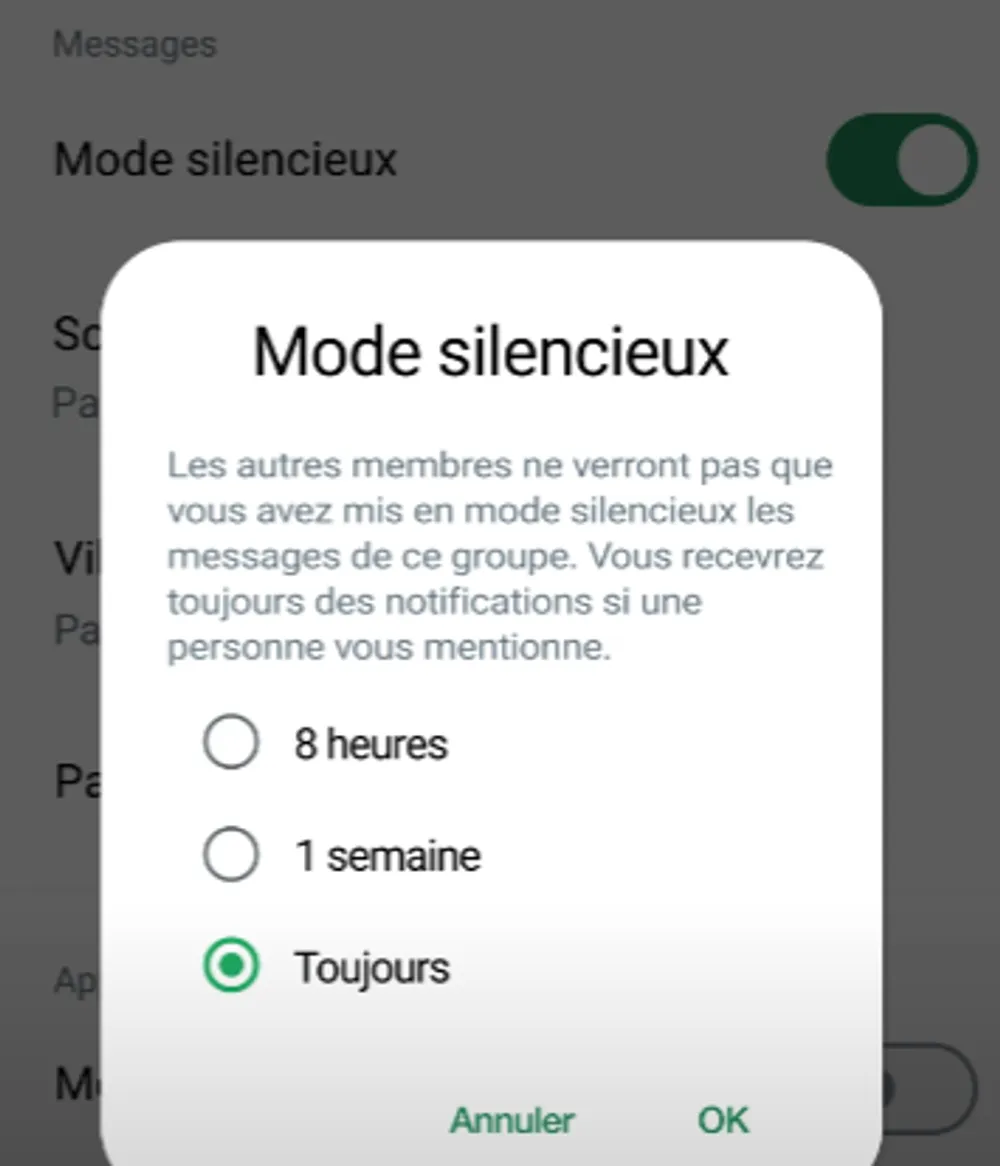 mettre-en-sourdine-la-conversation-whatsapp.webp