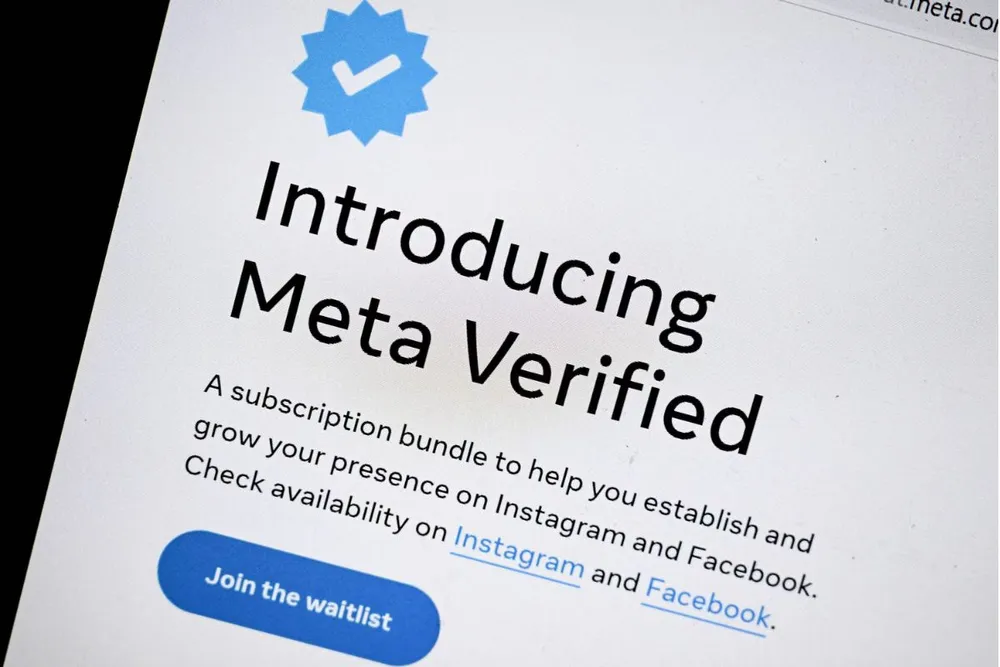 Meta Verified Interface
