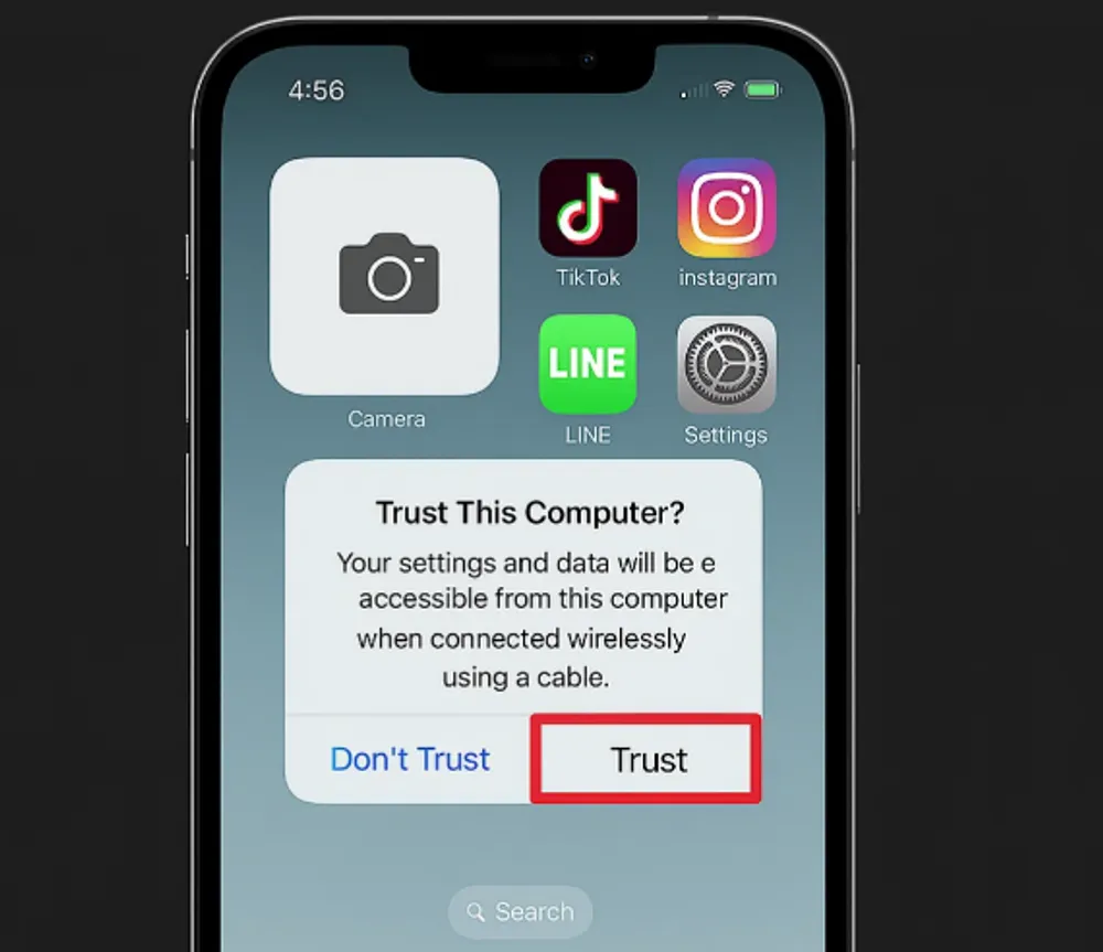 trust-this-computer.webp