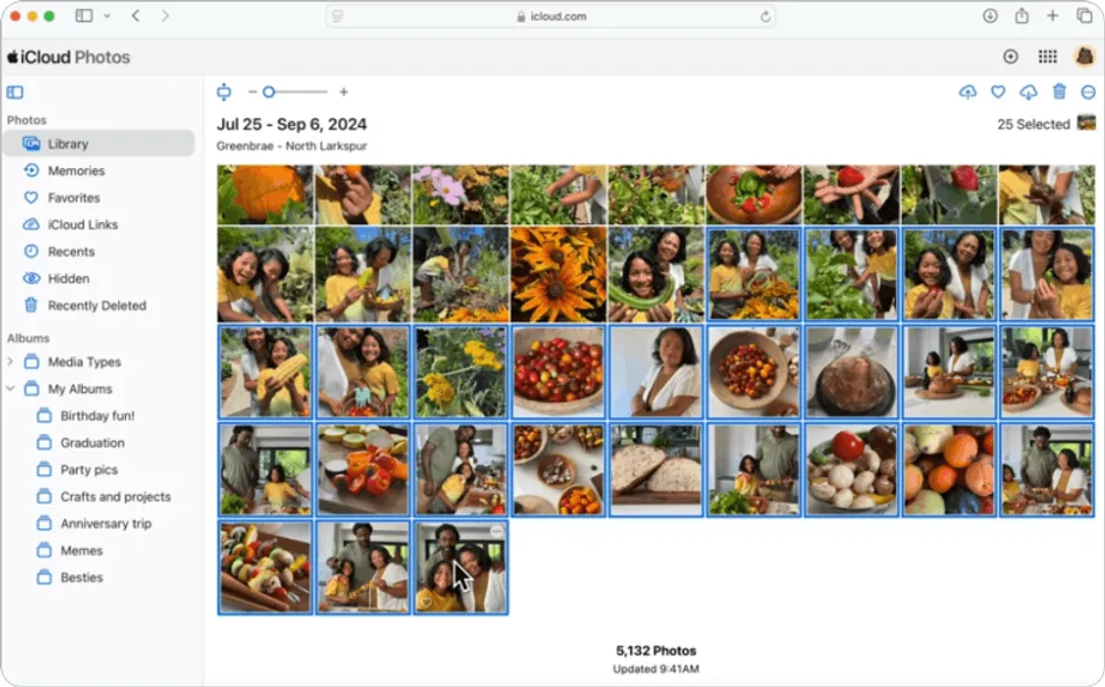 iCloud.com Photos interface with several photos selected for download