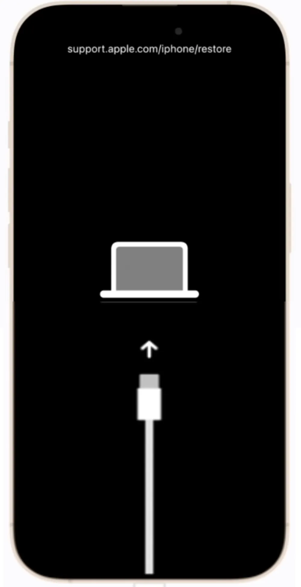 iPhone screen showing “iPhone Locked to Owner” activation lock message requiring Apple ID to unlock.