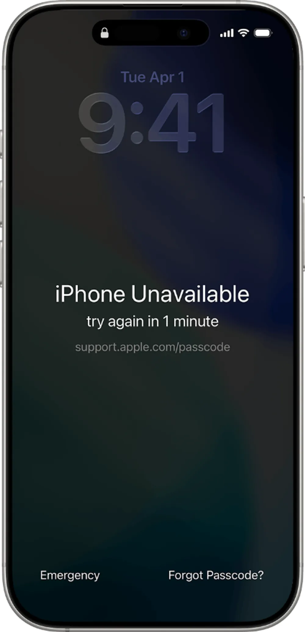 iPhone security lockout screen.