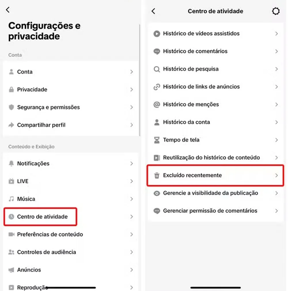lixeira-tiktok.webp