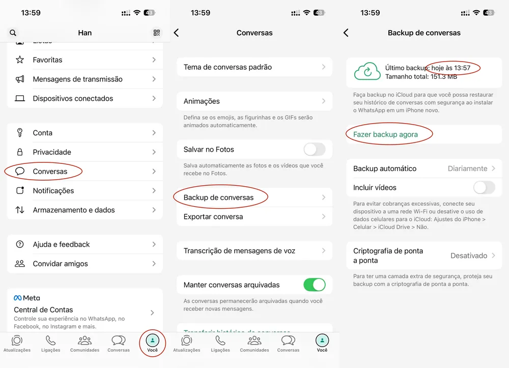 faca-backup-whatsapp.webp