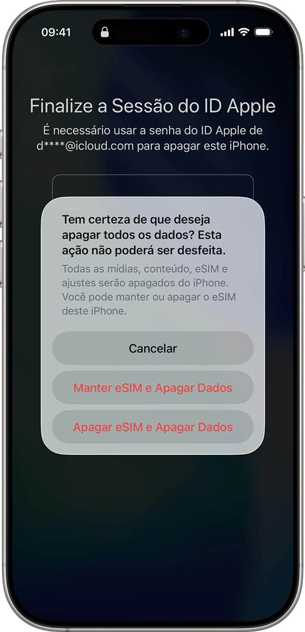 confirmar-apagar-dados.webp