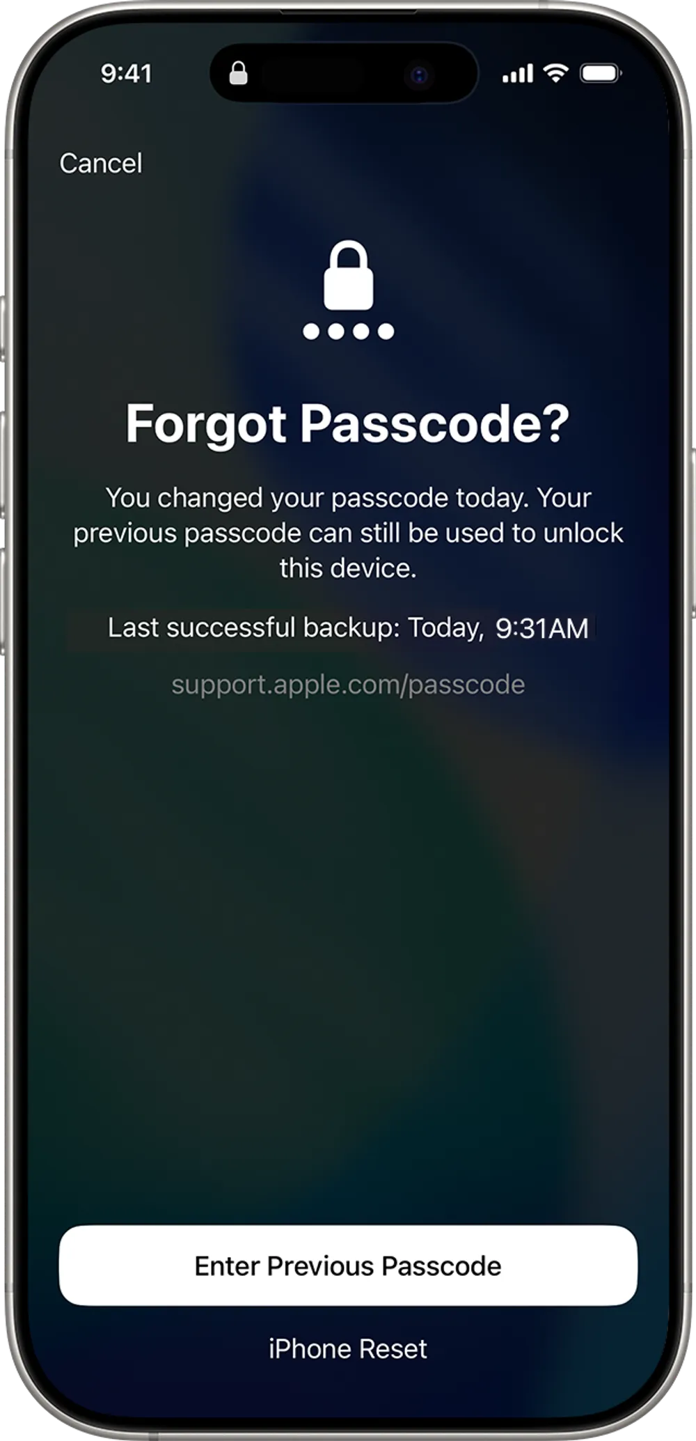 enter previous passcode enter-previous-passcode.webp